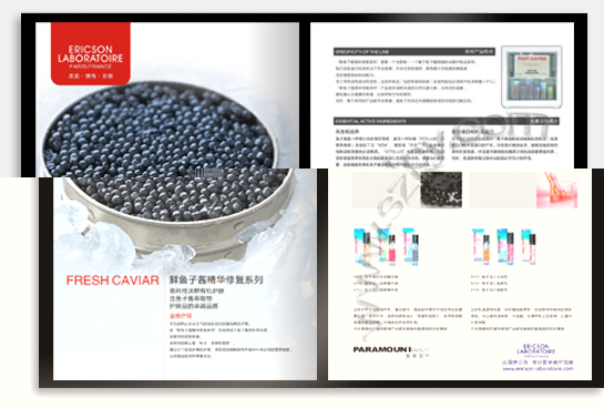 項目：企業宣傳畫冊 行業：信息管理